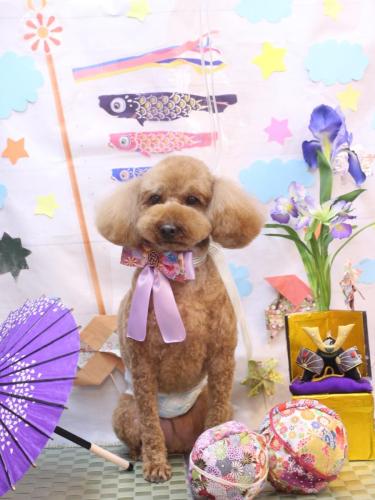 20240508ぷぅくん